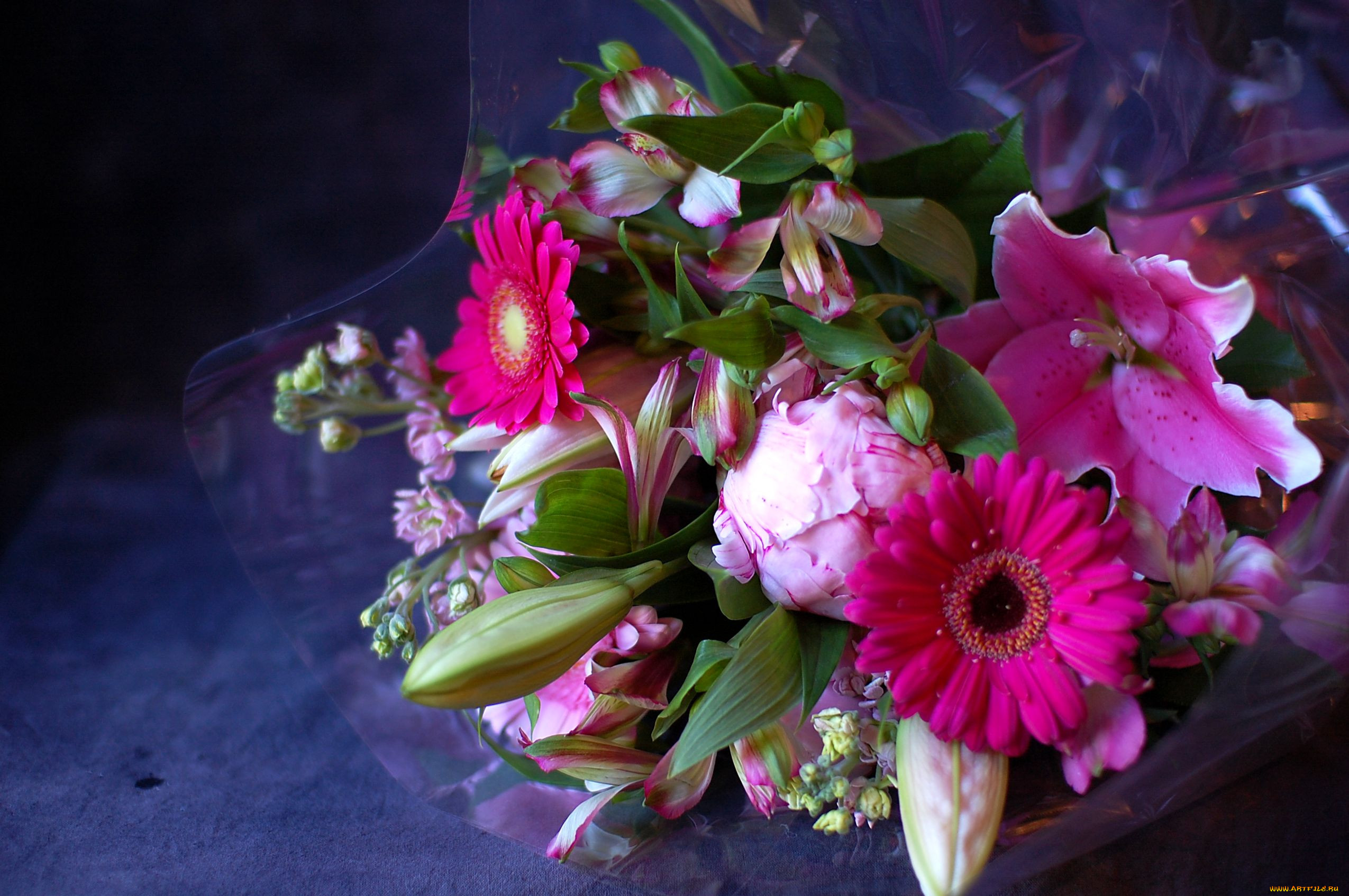 Фото букета на телефон. Пионы и герберы. Красивый букет цветов. Красивые цветы. Потрясающие букеты.